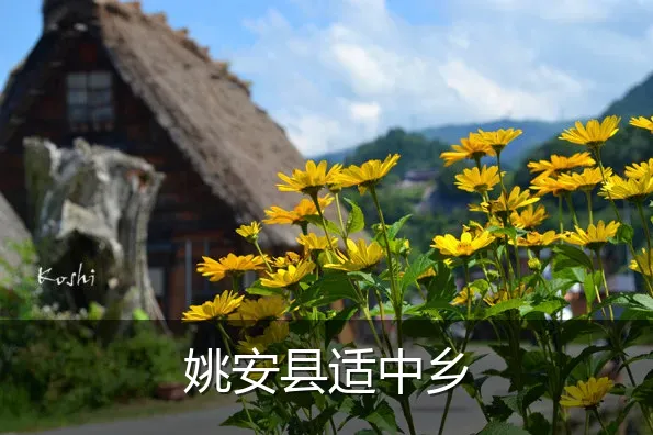 姚安县适中乡